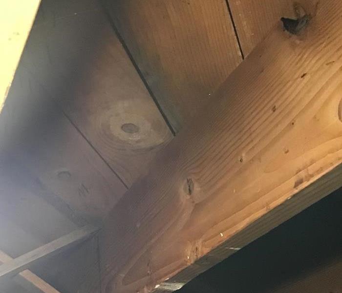 Floor joists without growth
