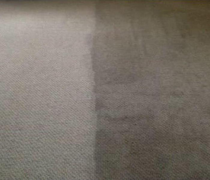 Carpet that is half cleaned and half dirty